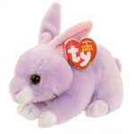 Dash the Rabbit reference photo