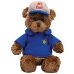Dear Dad the Bear reference photo