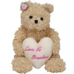 Dear Heart the Bear reference photo