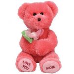 Dear Mom the Bear reference photo