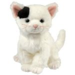 Delilah the Cat reference photo