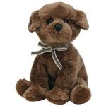 Diggidy the Dog reference photo