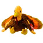 Drumstick the Turkey reference photo