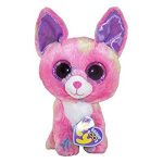 Duchess the Chihuahua reference photo