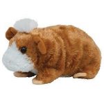 Fearless the Guinea Pig reference photo