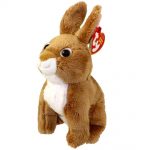 Fields the Rabbit reference photo