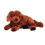 Fitz the Irish Setter reference photo