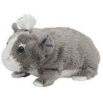 Flash the Guinea Pig reference photo