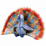 Flashy the Peacock reference photo