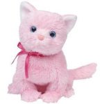 Fleur the Cat reference photo