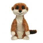 Flower the Meerkat reference photo