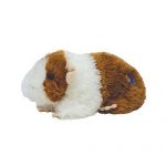 Fluffball the Hamster reference photo