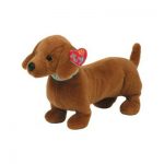 Frank the Dachshund reference photo