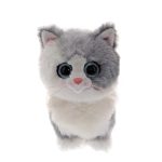 Furley the Cat reference photo