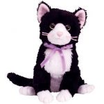 Fussy the Cat reference photo