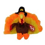 Giblets the Turkey reference photo