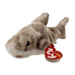 Gills the Shark reference photo