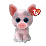 Hambone the Pig reference photo