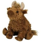 Hamish the Highland Cow reference photo