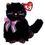 Heiress the Cat reference photo