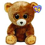 Honey the Bear reference photo