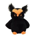Hootsey the Owl reference photo
