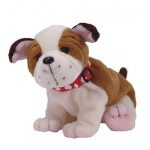Huggins the Pit Bull reference photo