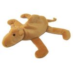 Humphrey the Camel reference photo