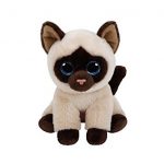 Jaden the Siamese Cat reference photo