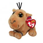 Jamal the Camel reference photo