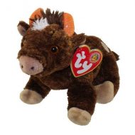Jersey the Bull reference photo