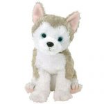 Juneau the Husky reference photo