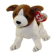 Kippy the Dog reference photo