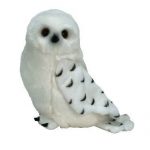 Knowledge the Owl reference photo