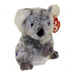 Koowee the Koala reference photo