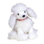 Lamore the Poodle reference photo