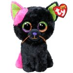 Licorice the Cat reference photo