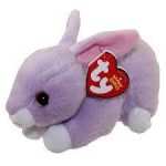 Lilac the Rabbit reference photo