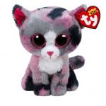 Lindi the Cat reference photo