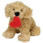 Lovesme the Dog reference photo