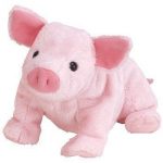 Luau the Pig reference photo