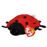 Lucky the Ladybug 11 Spot reference photo