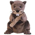 Lumberjack the Beaver reference photo