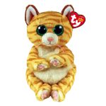 Mango the Cat reference photo