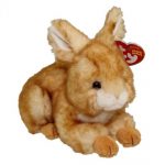 Minksy the Rabbit reference photo