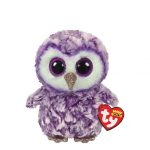 Moonlight the Owl reference photo