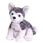 Mukluk the Husky – Blue and Green Eyes reference photo