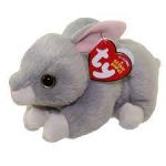 Nibbler the Rabbit reference photo