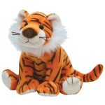Oasis the Tiger reference photo