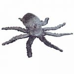 Opie the Octopus Red Eyes reference photo